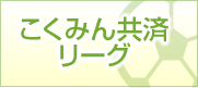 こくみん共済リーグ